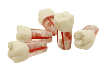 ADC Red roots Endodontic Tooth - PVR 860