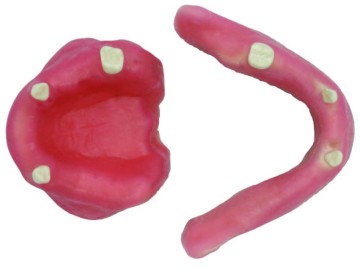 Mandible & Maxilla with Soft Gums for Implant Training