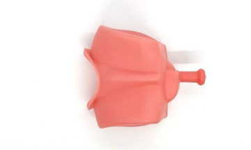 Universal Oral Cavity Cover for typodont Jaws