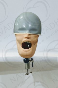 OSCE / ADC Manikin | Dental Phantom Head - Navadha