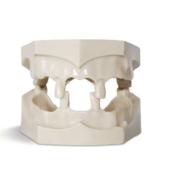 Dental Jaws for natural extracted teeth placement