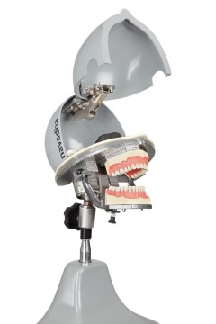 iTorso Dental Phantom Head with Advanced Articulator