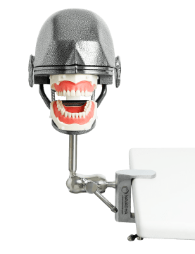 NEO OSCE / ADC Manikin Dental Phantom Head