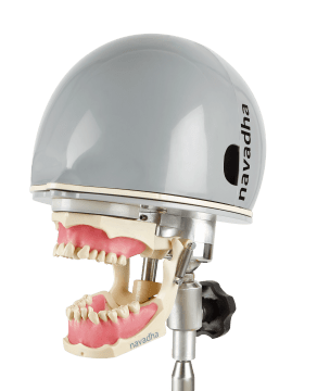 Orthodontic dental phantom head manikin