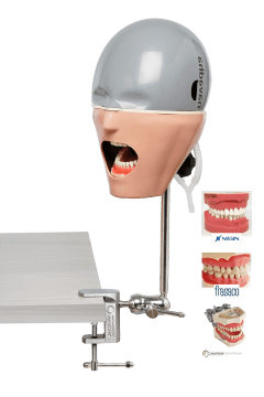 iSim Universal benchmount dental phantom head manikin