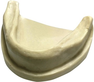 Dental Mandible Model for Implant Training