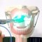 Dental Anesthesia Practice Jaw
