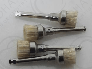 Prophy Brushes