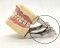 Dental Typodont Jaw - Navadha ZX